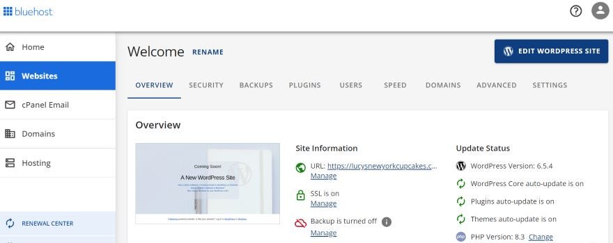 Screenshot of Bluehost's dashboard complete with different tabs.