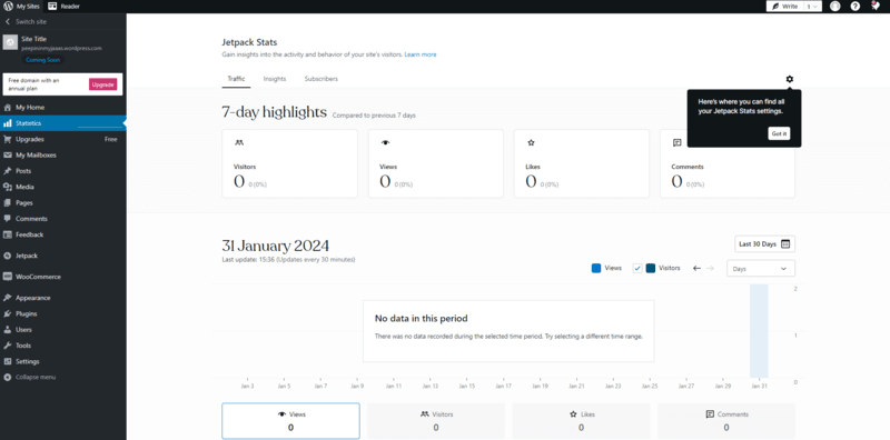 a web traffic observation deck in WordPress's backend.